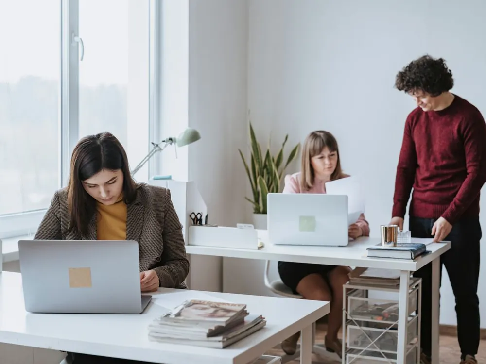 Colleagues working on laptops in a bright office